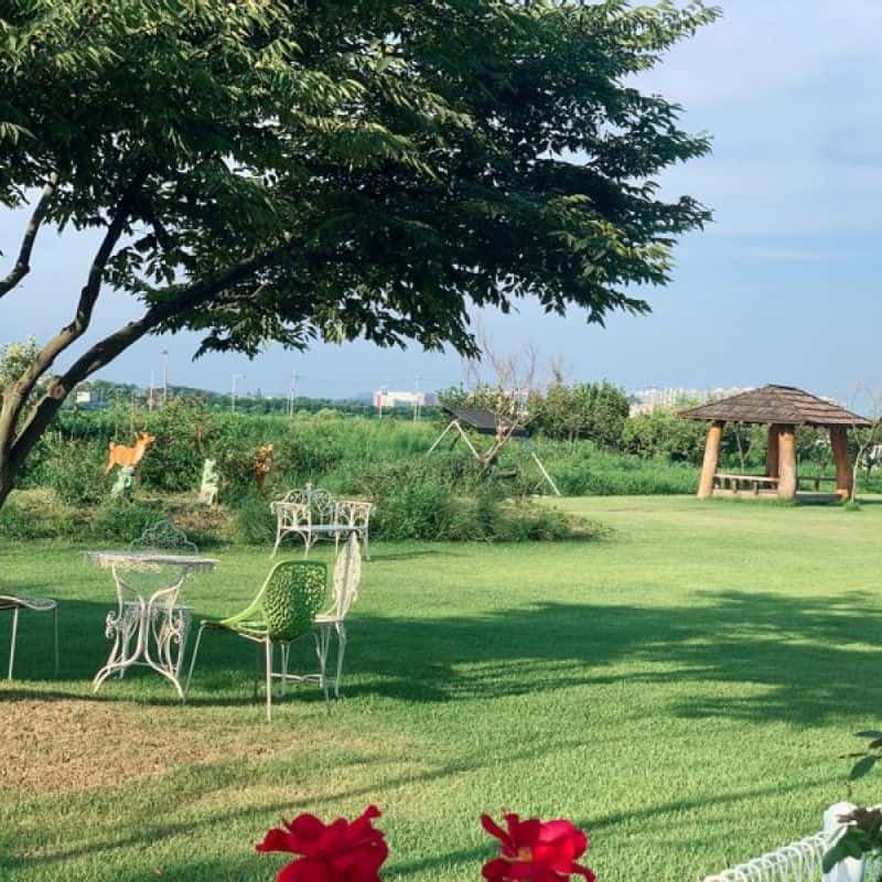 [평택/당일] 쌀겨 효소 찜질체험 ♨️ 사진 4