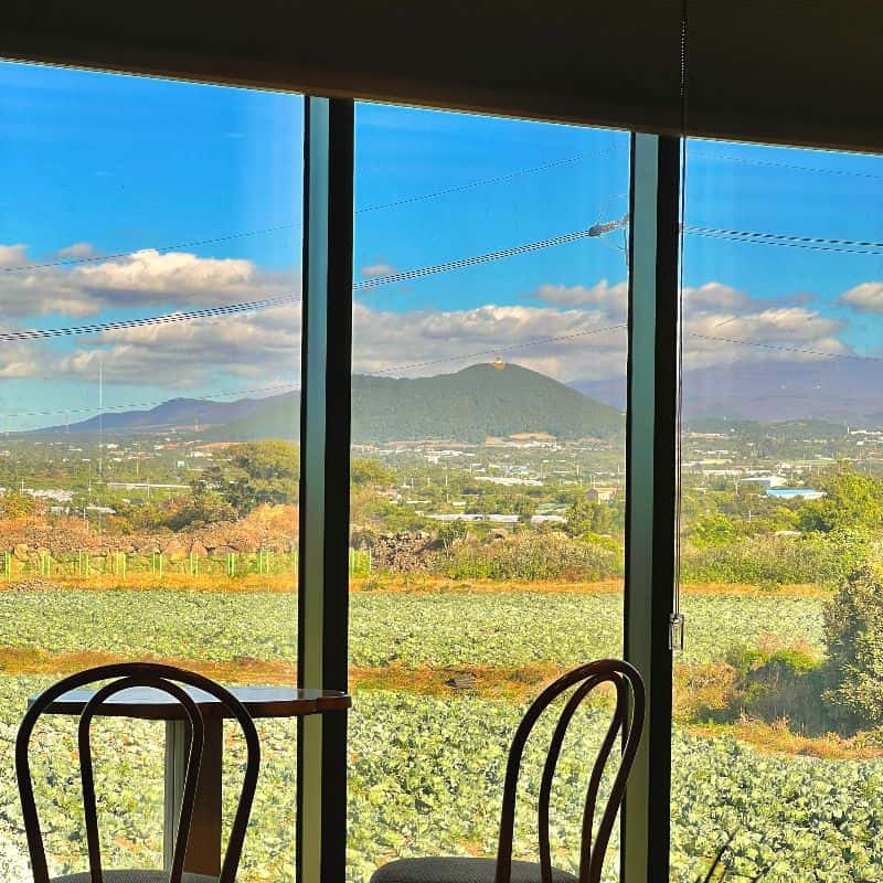 [제주시] 제주 화산송이 석창포 티블랜딩 클래스 사진 3