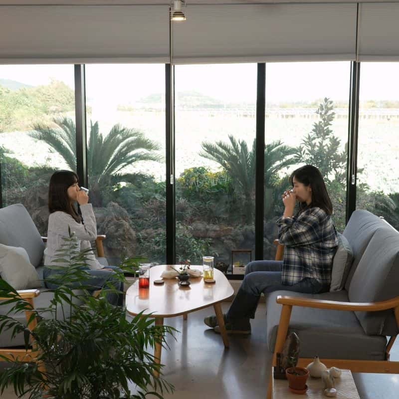 [제주시] 제주 화산송이 석창포 티블랜딩 클래스 사진 7