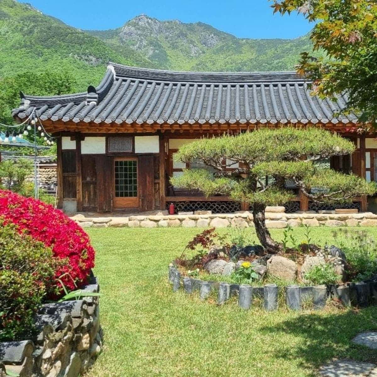 [Miryang] Hanok (traditional Korean house) Stay + Private + Bulmeong (campfire-gazing) + Apple Makgeolli (traditional rice wine) Experience photo 1
