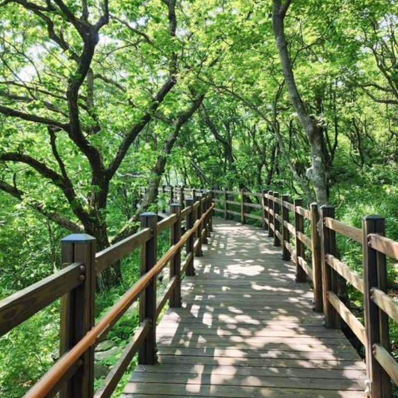 [평창] 광천선굴+청옥산투어+중식제공+픽업 사진 2