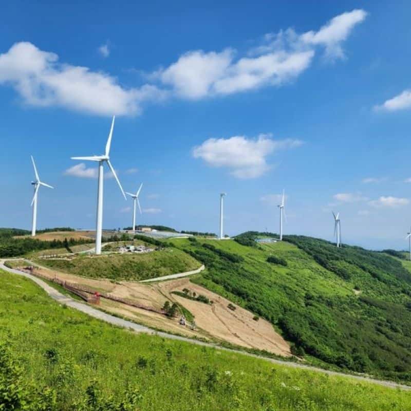 [평창] 광천선굴+청옥산투어+중식제공+픽업 사진 3