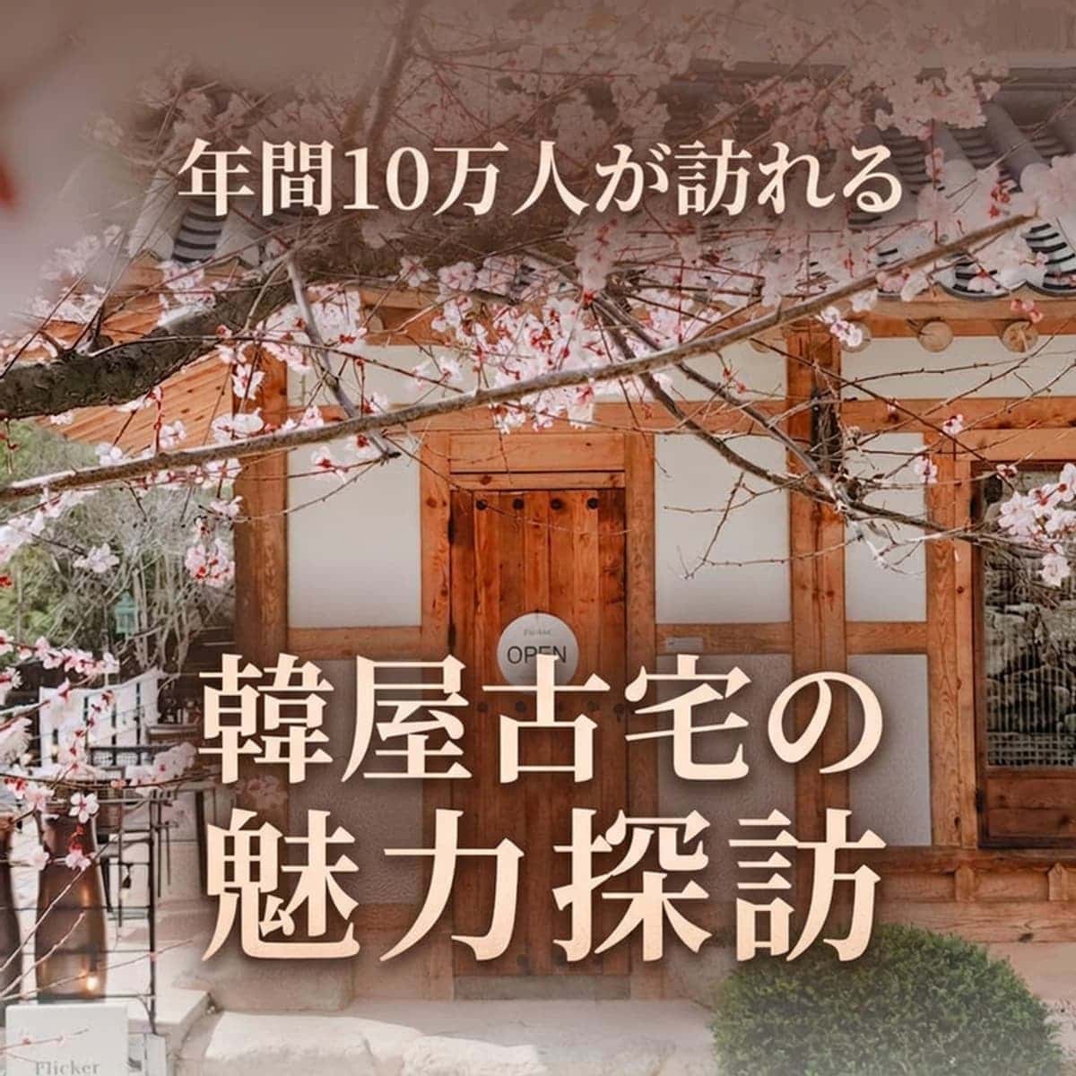 [完州] 「5都2村」宿泊業探査コースの写真4