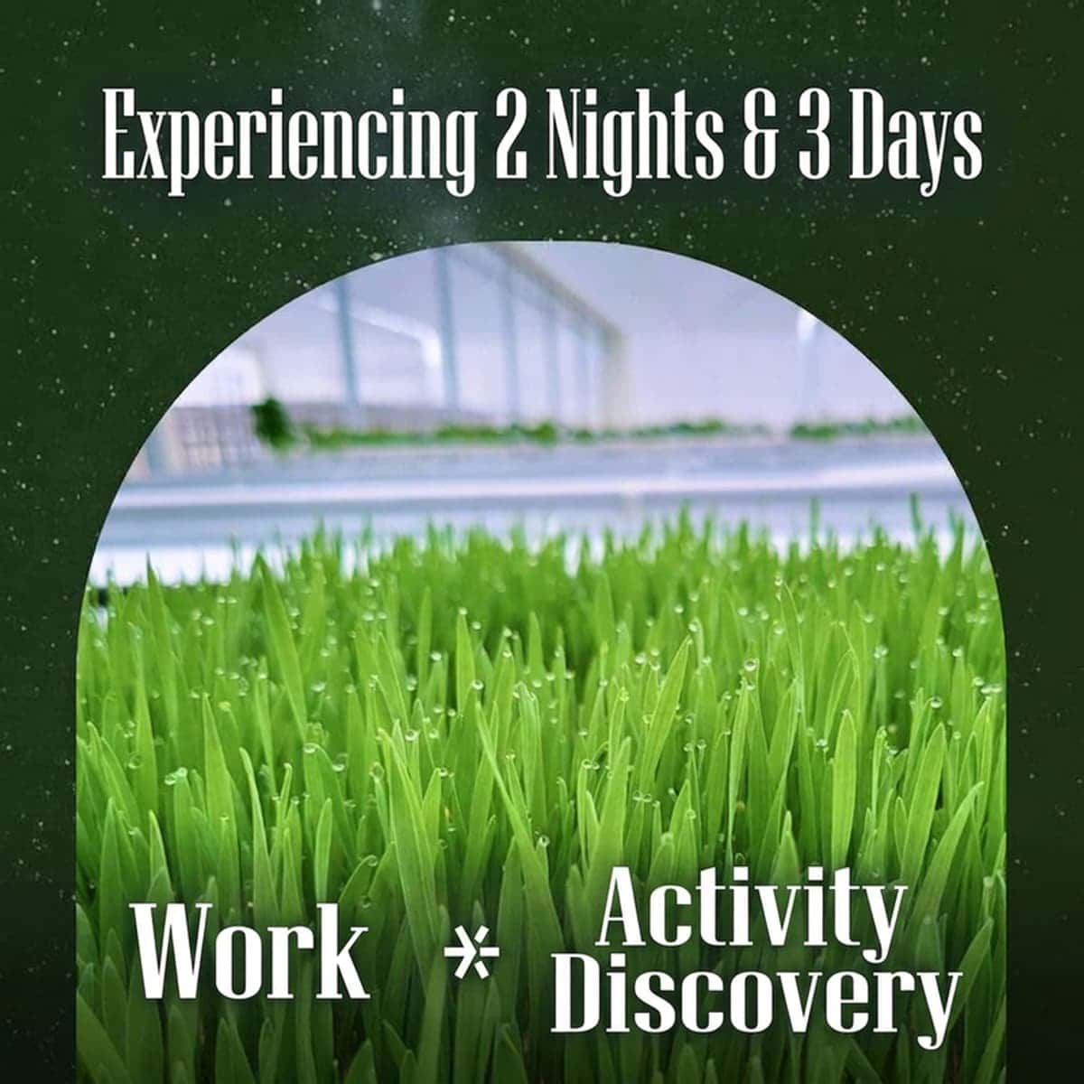 [Iksan] '5 Do 2 Chon' Smart Farm Exploration Program photo 3