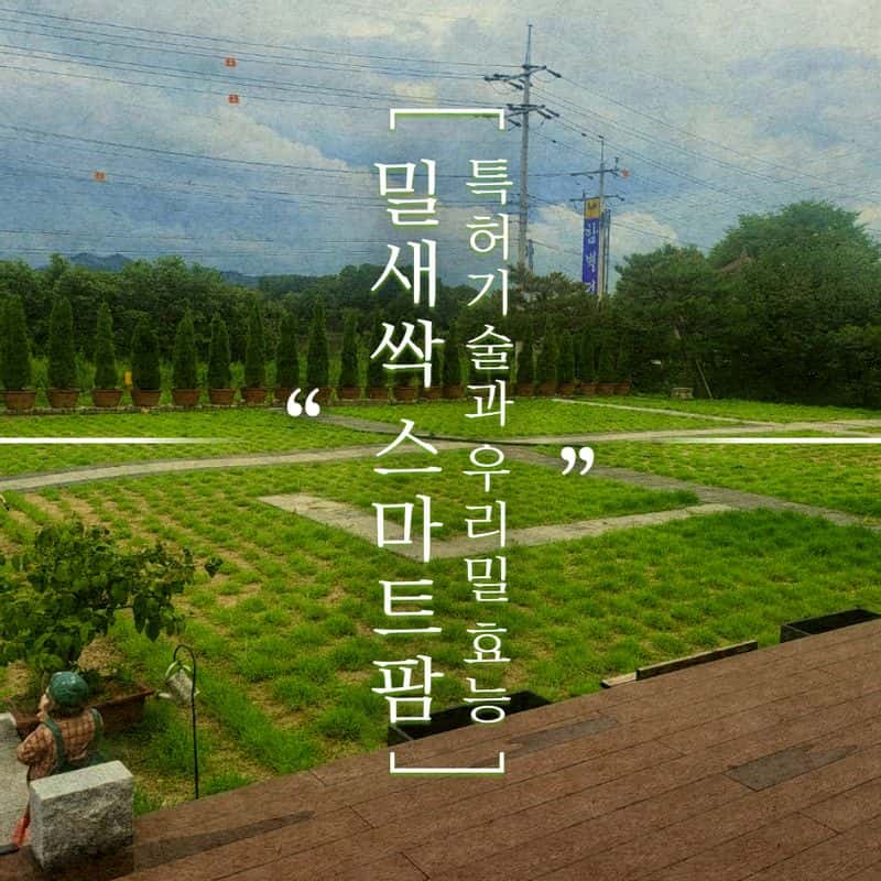 [익산] '5도(都)2촌(村)' 스마트팜 탐색과정  사진 4