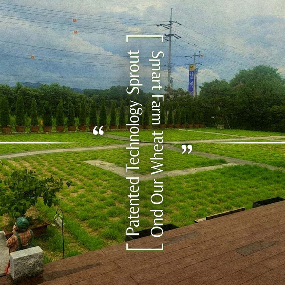 [Iksan] '5 Do 2 Chon' Smart Farm Exploration Program photo 4