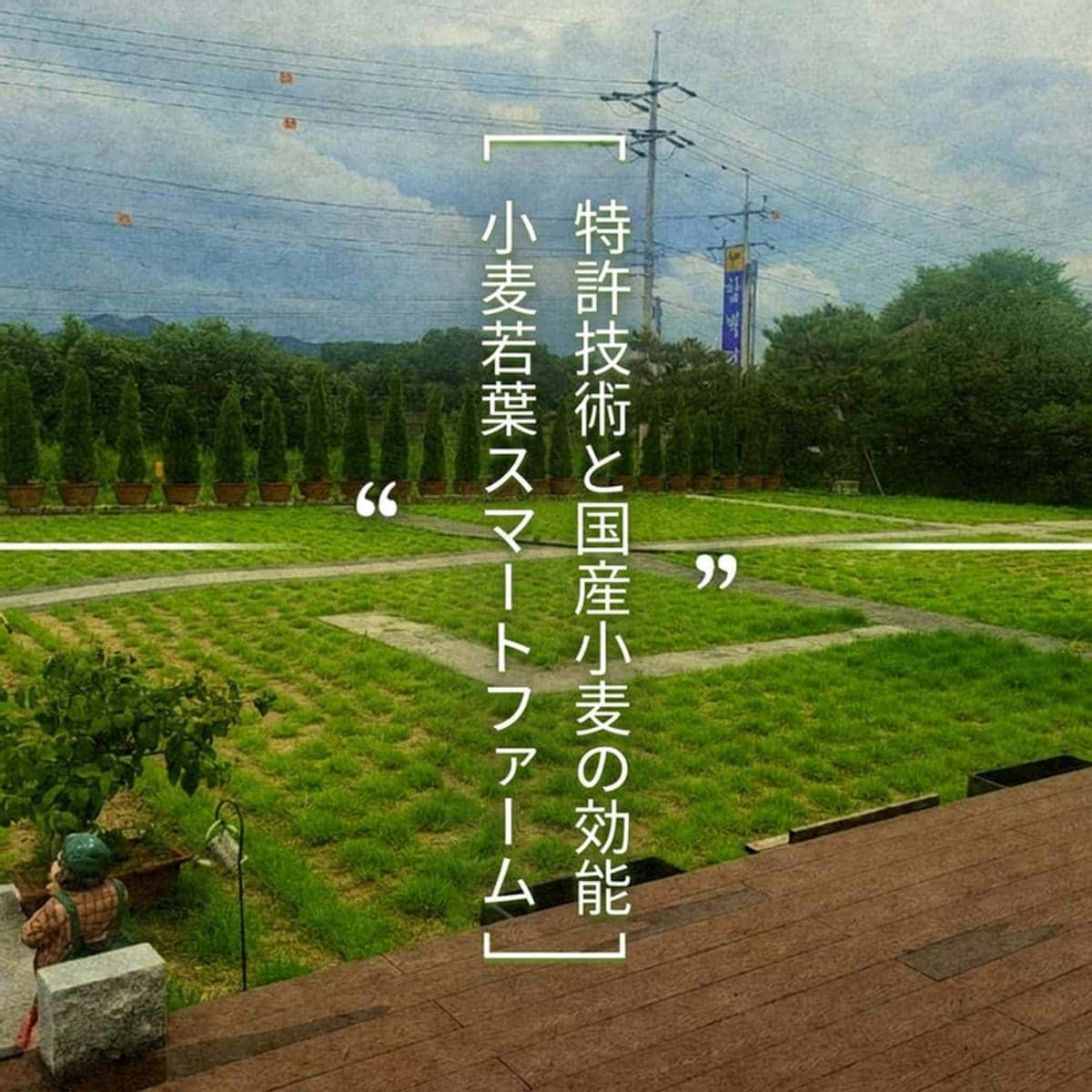 [益山] 「5都2村」スマートファーム探索コースの写真4