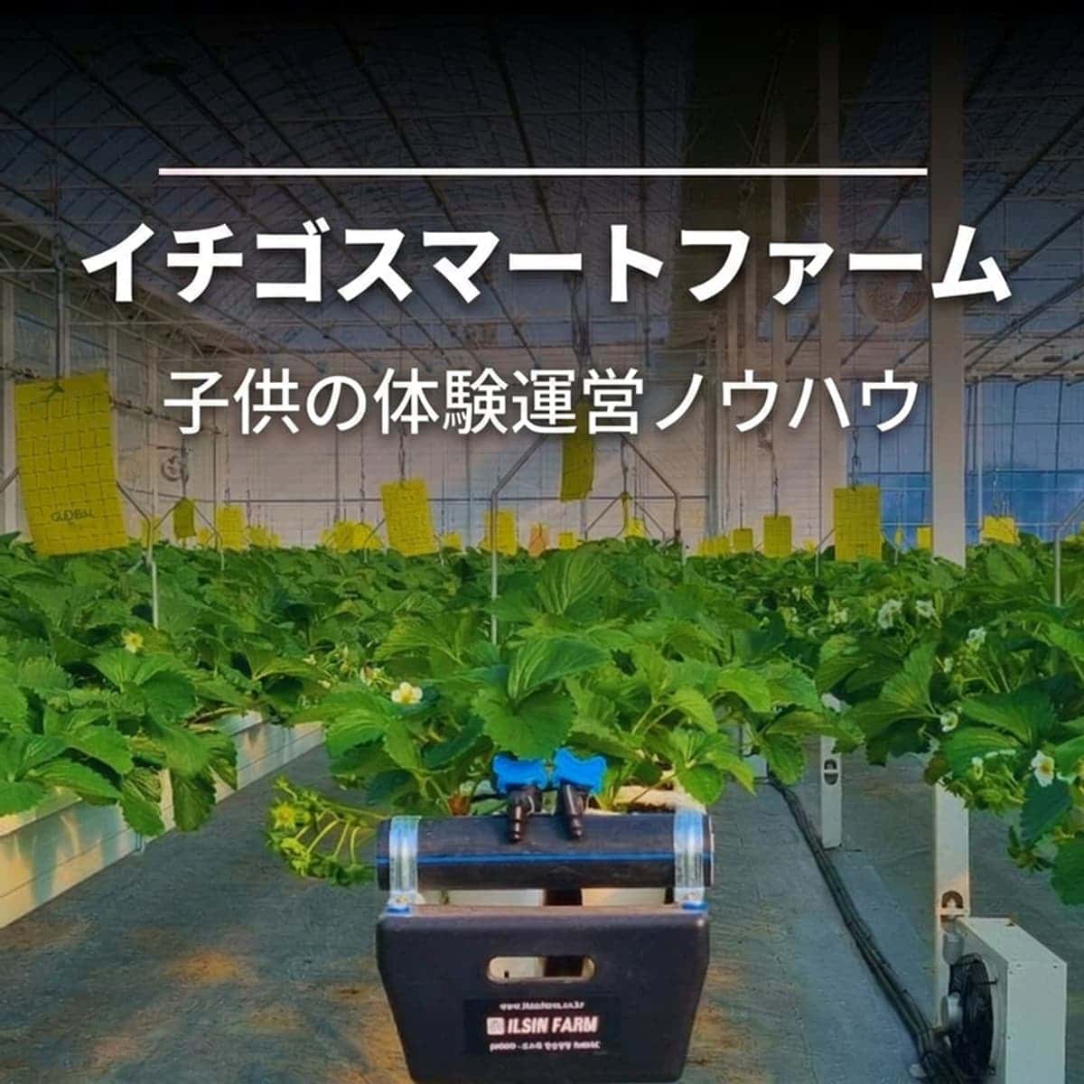 [益山] 「5都2村」スマートファーム探索コースの写真5
