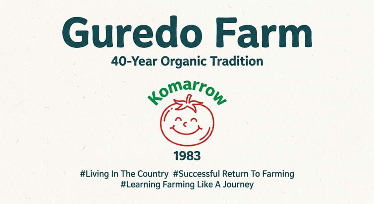 [Yeongwol] '5 Days in the City, 2 Days in the Country (5Do-2Chon)' Organic Farm Exploration Course photo 2