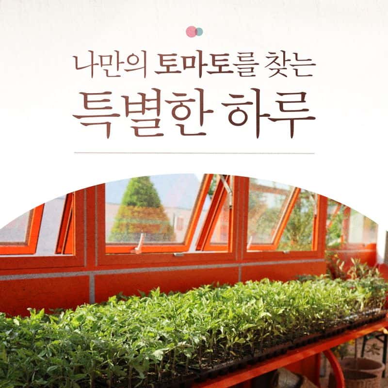 [영월] '5도(都)2촌(村)' 유기농 농장 탐색과정 사진 3