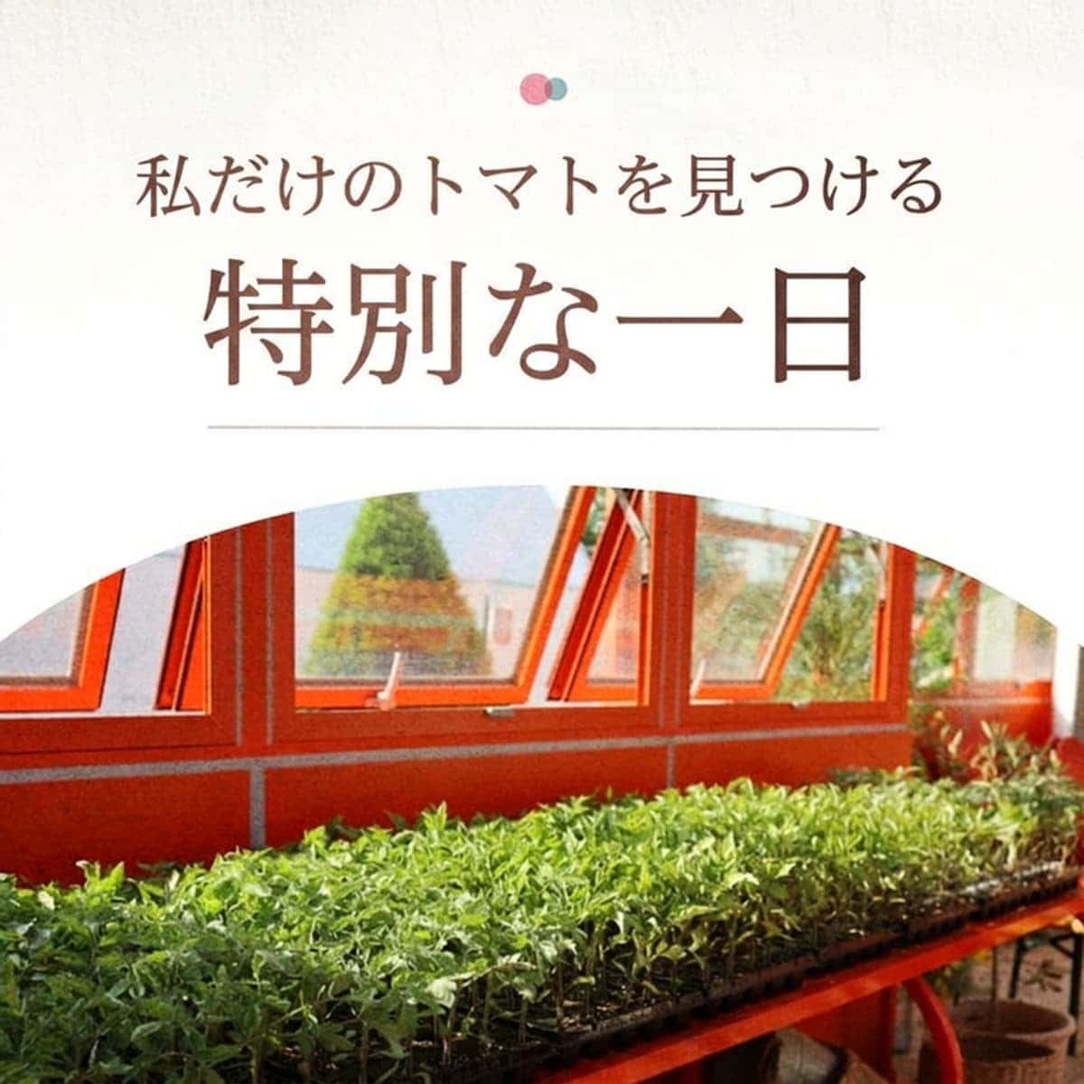 [ヨンウォル] 「5都2村」オーガニック農場探索コースの写真3