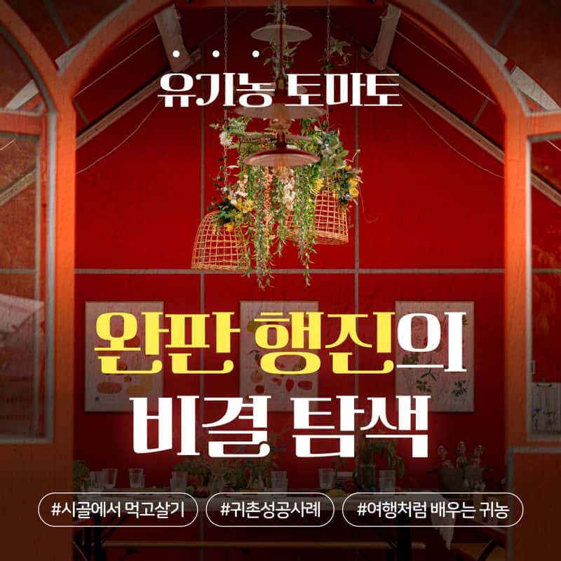 [영월] '5도(都)2촌(村)' 유기농 농장 탐색과정 사진 4