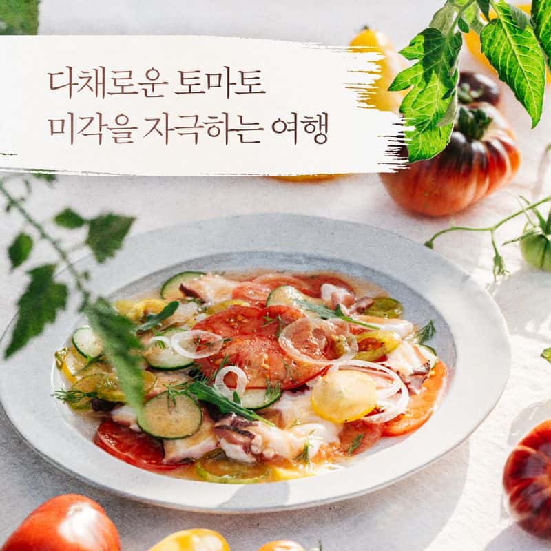 [영월] '5도(都)2촌(村)' 유기농 농장 탐색과정 사진 5