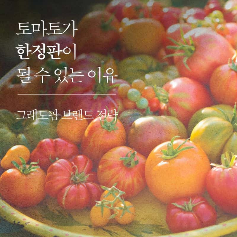 [영월] '5도(都)2촌(村)' 유기농 농장 탐색과정 사진 6