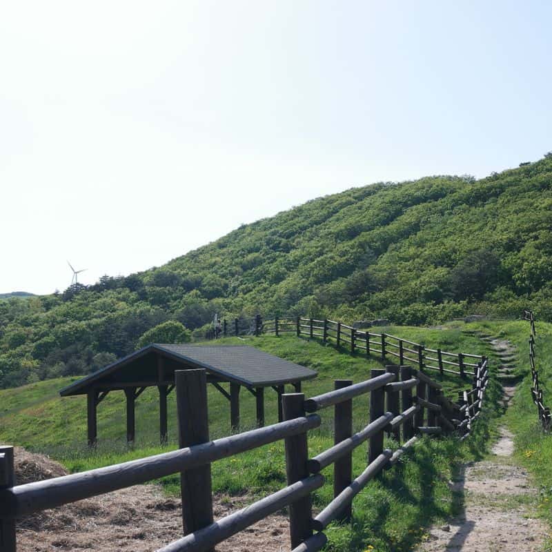 [평창] 명소 뚜벅이 여행 : 오대산과 삼양목장 사진 2