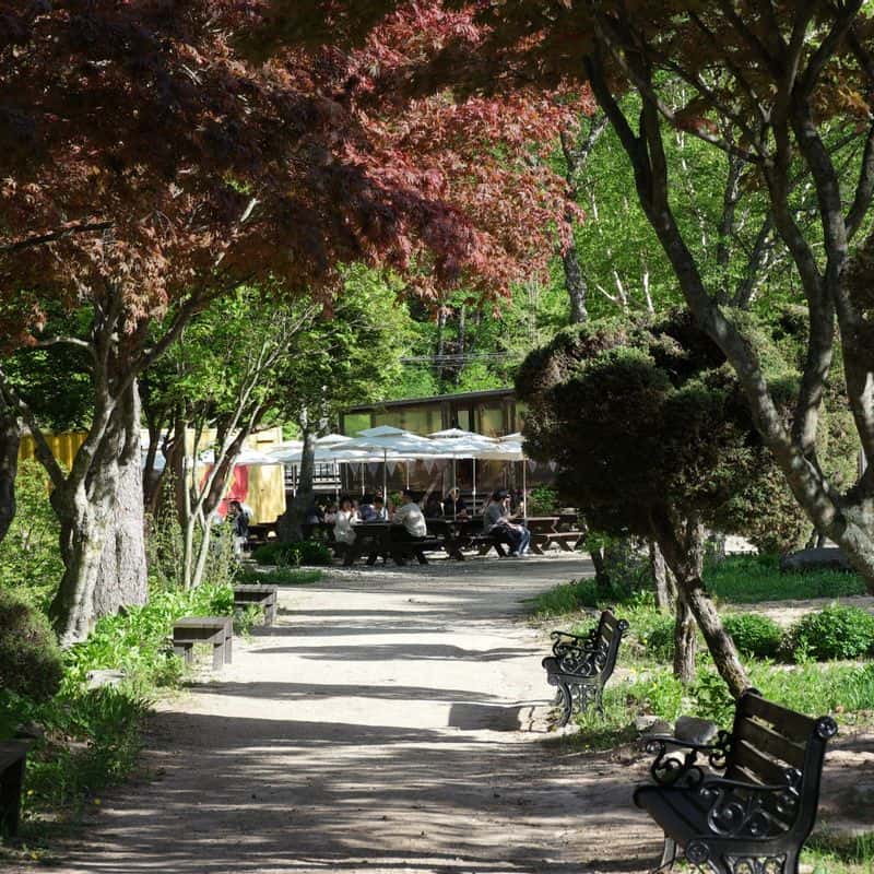 [평창] 명소 뚜벅이 여행 : 오대산과 삼양목장 사진 4