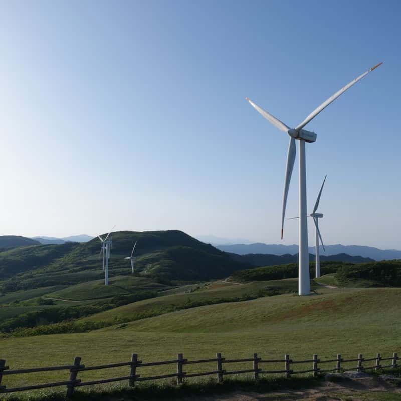 [평창] 명소 뚜벅이 여행 : 오대산과 삼양목장 사진 5