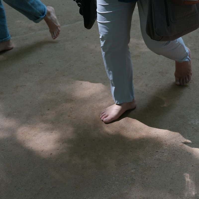 [평창] 명소 뚜벅이 여행 : 오대산과 삼양목장 사진 8