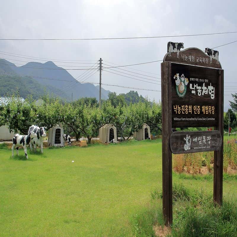 원데이클레스 1+1 일요일(공방체험+낙농,치즈체험) 사진 1