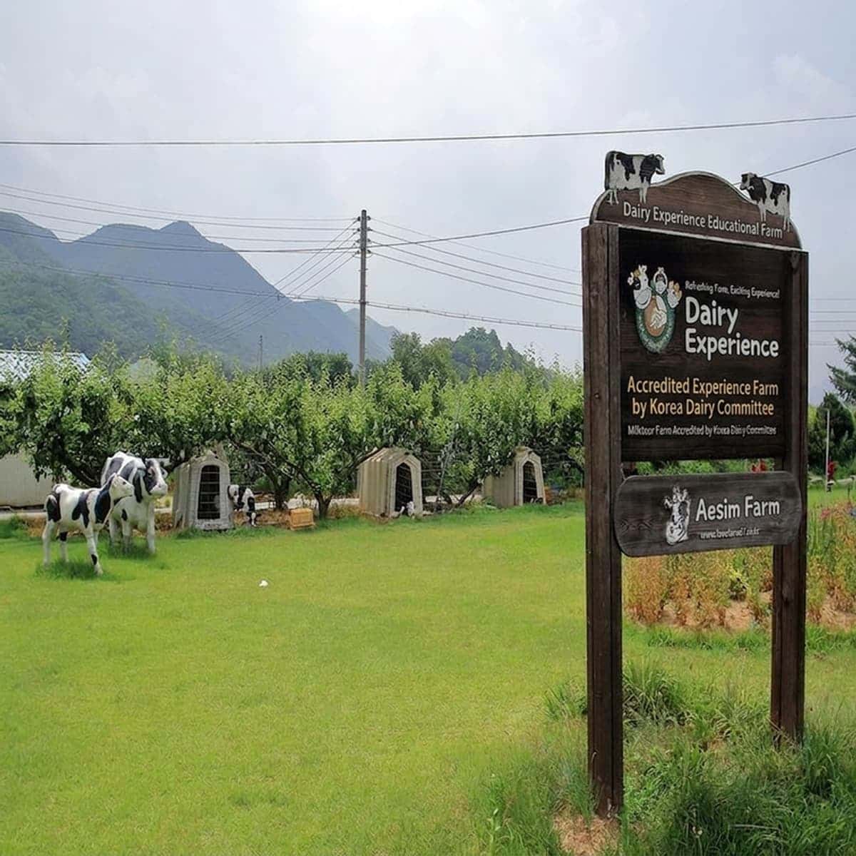 One-Day Class 1+1 Sunday (Atelier Experience + Dairy Farm, Cheese Experience) photo 1