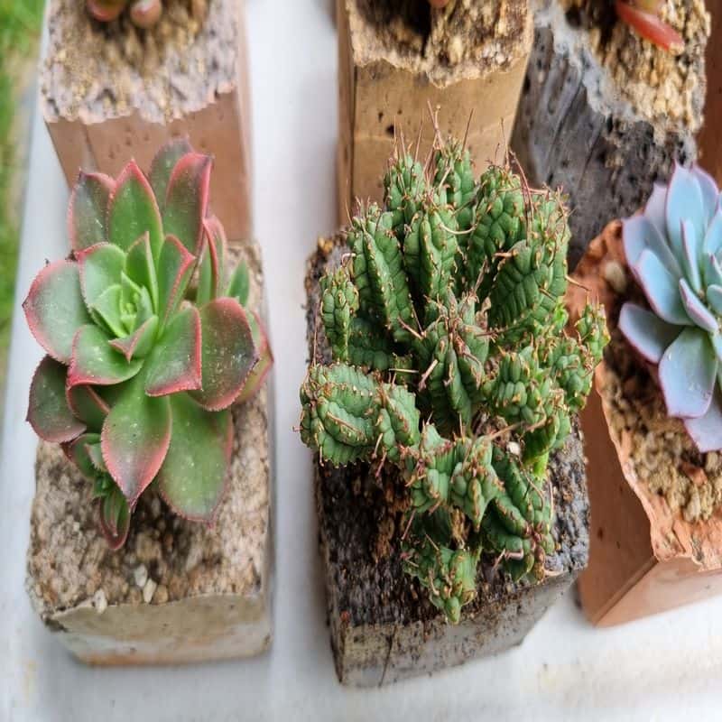 원데이클레스 1+1 일요일(공방체험+낙농,치즈체험) 사진 5