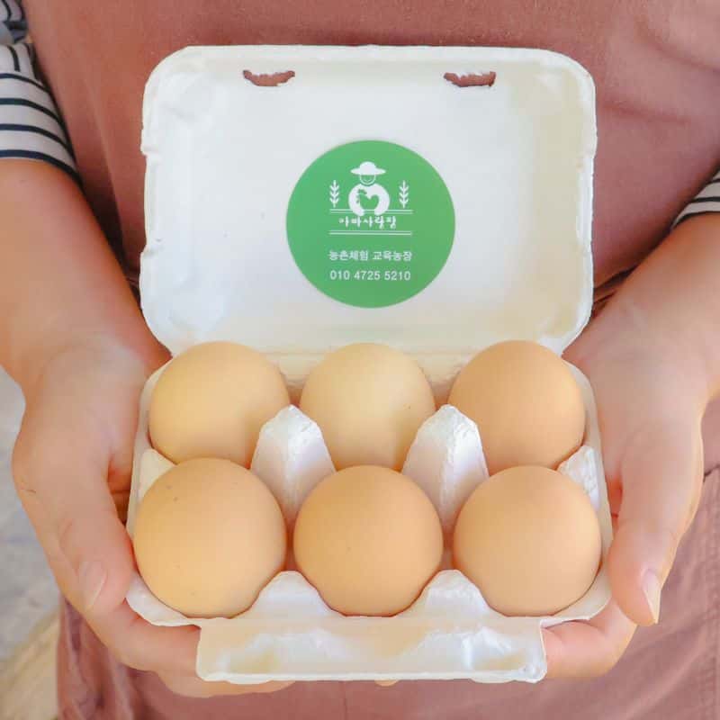 [천안/당일] 모두 행복한 동물복지 달걀 체험 사진 7