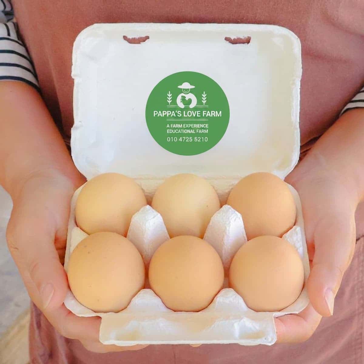 [Cheonan/Day Trip] A Happy Animal Welfare Egg Experience for Everyone photo 7