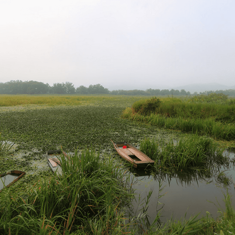 [창녕/당일] 우포늪 투어+약초소금, 창포물비누 체험 사진 1