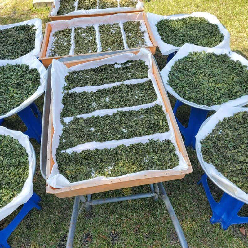 [창녕/당일] 우포늪 투어+약초소금, 창포물비누 체험 사진 3