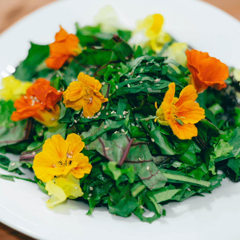 [거창/당일] 쌀오란다 만들기+쌀누룩으로 만든 건강식사 사진 3