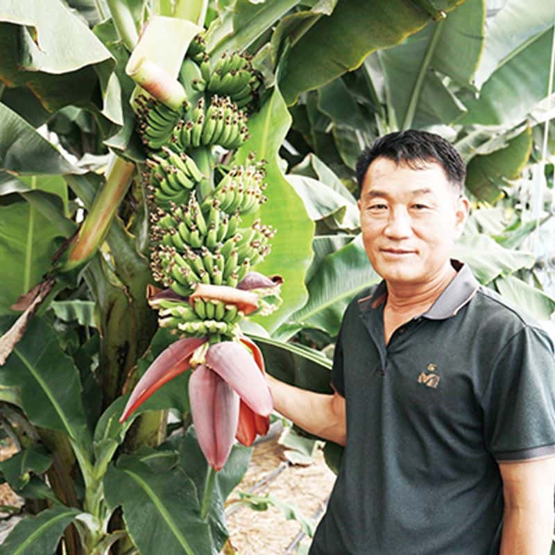 [익산/당일] 국내에서 느낄 수 있는 베트남 여행 사진 2