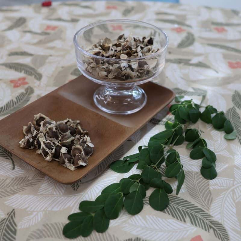 [완도/1박] 알랑가 모링가? 중년여성 디톡스 치유여행 사진 1