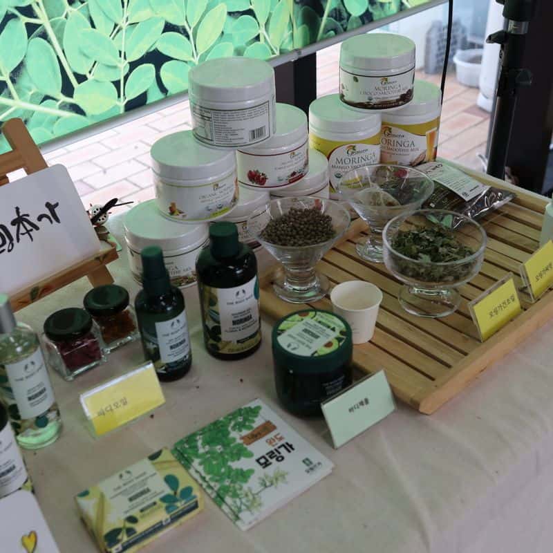 [완도/1박] 알랑가 모링가? 중년여성 디톡스 치유여행 사진 2