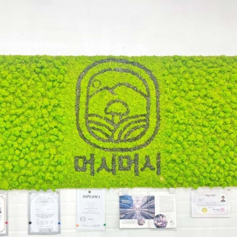 [당일/나주] 제철 농산물 수확 체험+쿠킹클래스 사진 1