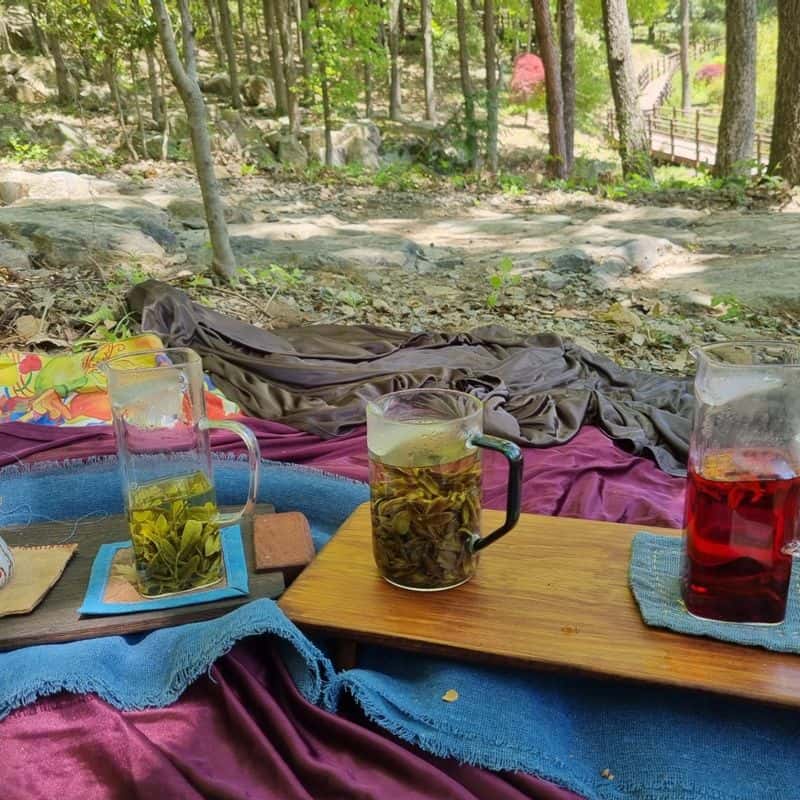 [해남/당일] 천연염색+텃밭채소로 만드는 김밥 사진 5