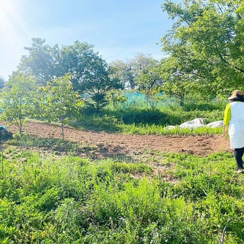 [아산/당일] 별별풍경 치유농장 ㅣ 유기농 우리밀로 만드는 크리스마스 베이킹 🍞🎄 사진 6