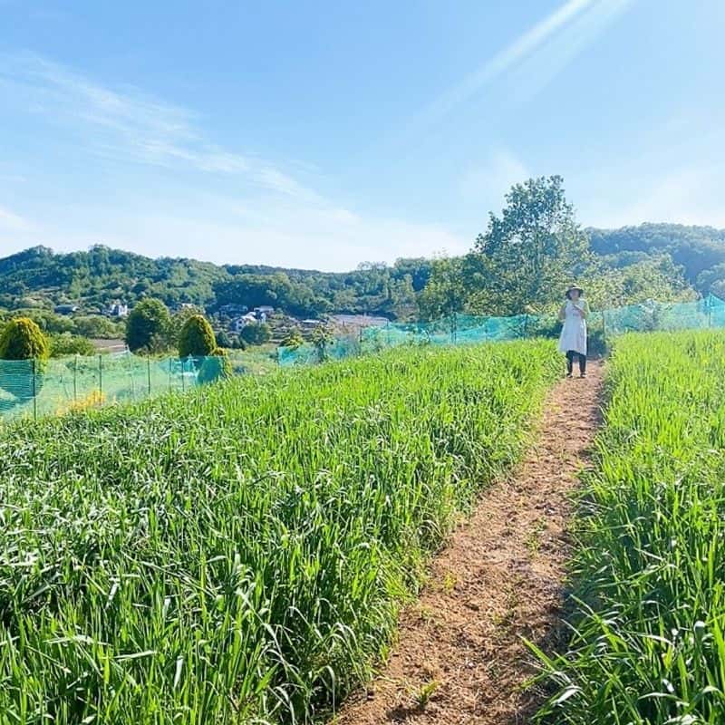 [아산/당일] 별별풍경 치유농장 ㅣ 유기농 우리밀로 만드는 크리스마스 베이킹 🍞🎄 사진 7