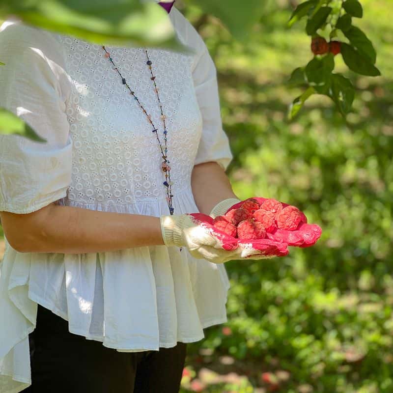 [아산]꾸지뽕 웰니스4종체험 | 청만들기·맨발걷기·족욕·비누만들기