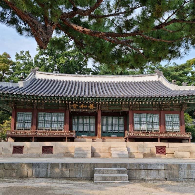  [역사투어] 창경궁, 왕가의 여인들 사진 2