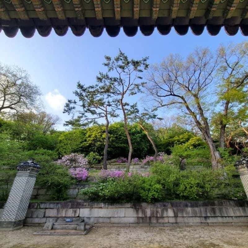  [역사투어] 창경궁, 왕가의 여인들 사진 8