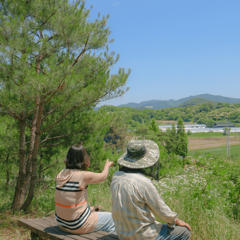 [천안] 촌캉스 1박2일 숙박+유기농식사+불멍+농장체험 사진 8