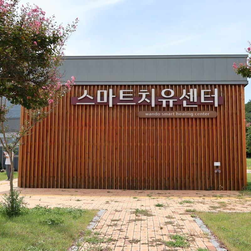 [완도/1박] 알랑가 모링가? 중년여성 디톡스 치유여행 사진 5