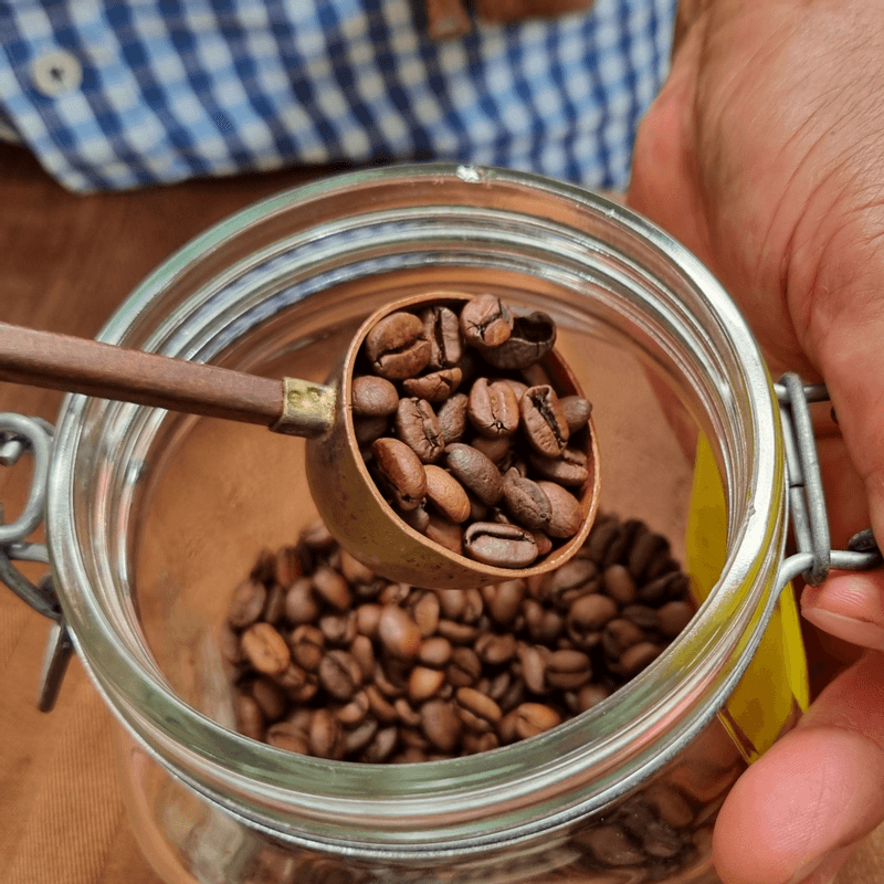 [담양/당일]나도 바리스타! 커피나무 농장 투어+로스팅 사진 7