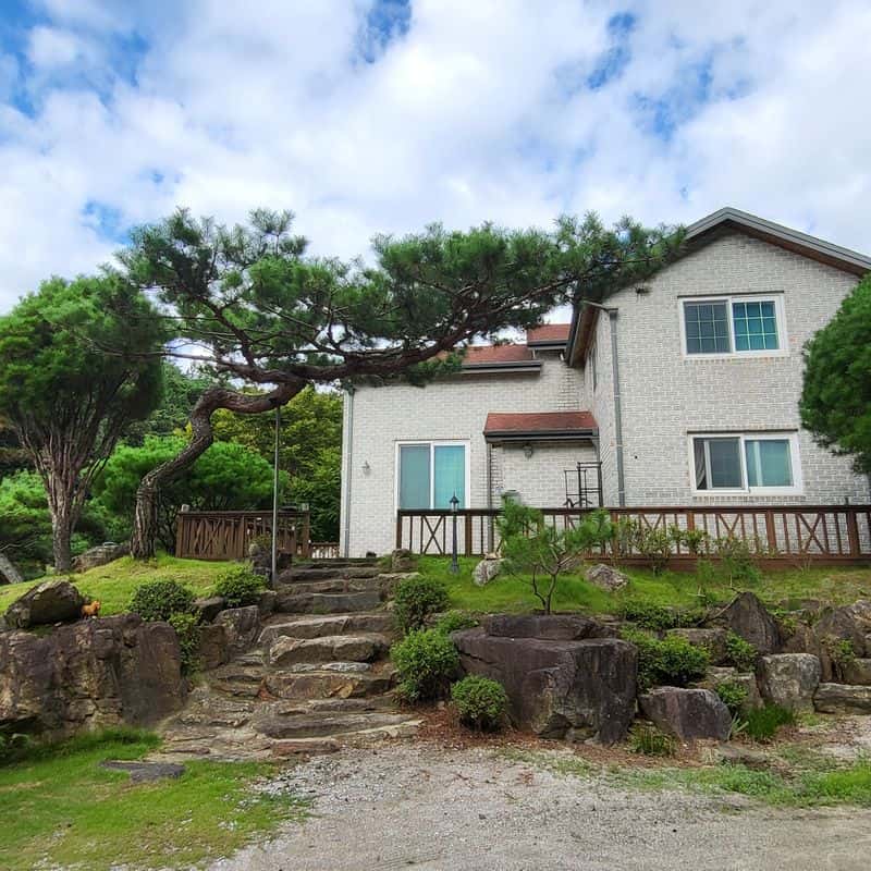 [고창/1박]반려견동반 자연속 힐링 +수제건강간식 체험 사진 1