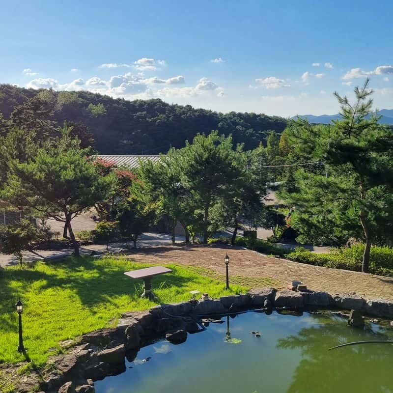 [고창/1박]반려견동반 자연속 힐링 +수제건강간식 체험 사진 2