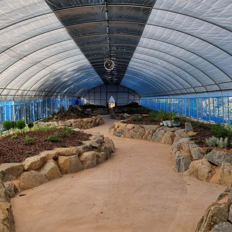 [고창/1박]반려견동반 자연속 힐링 +수제건강간식 체험 사진 4