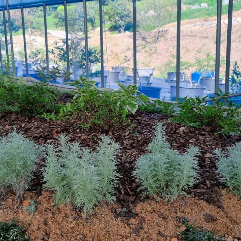 [고창/1박]반려견동반 자연속 힐링 +수제건강간식 체험 사진 5