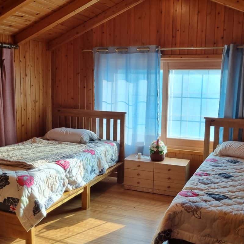 [고창/1박]반려견동반 자연속 힐링 +수제건강간식 체험 사진 7