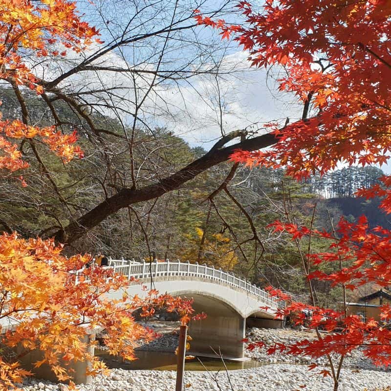 가을빛 여행 평창, 정선 _산길따라 여울따라   사진 2