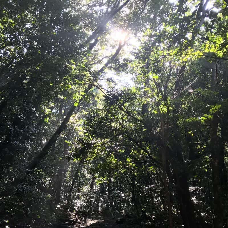 [제주] 자연과 나를 만나는 시간 (11/9-10) 사진 2